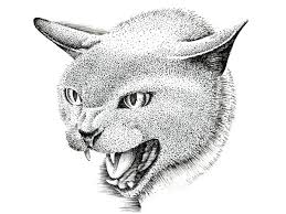 Please enter your email address receive free weekly tutorial in your email. How To Draw A Cat With Pen And Ink