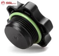 Sgl Source Factory Fuel Filter Fs53021