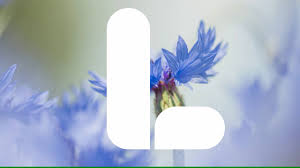 From wikimedia commons, the free media repository. Liberalerna Liberalernas Nya Logotyp Facebook