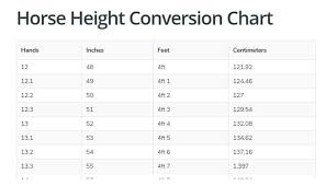 1 feet = 30.48 cm. Horse Height Conversion Chart Hands Feet Inches Centimetres