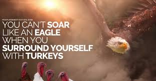 You Can T Soar Like An Eagle When You Surround Yourself With Turkeys But the eagle alone avoids the rain by flying above the clouds. you can t soar like an eagle when you