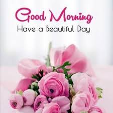 Check out latest free new best happy good morning wishes pics wallpaper pictures free download for facebook / whatsapp. Download Best Good Morning Roses Pictures Images Good Morning