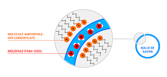 Tre invisible au microscope ordinaire. Pourquoi Le Savon Mousse T Il Les Affranchis