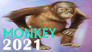 Monkey Horoscope January 2021 Best Predictions For Women And Men Knowinsider