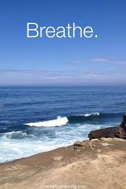 Inspiring short quotes about the ocean. 59 Beach Quotes To Brighten Your Day Coastal Wandering