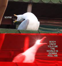 Inhaling Seagull Meme Template
