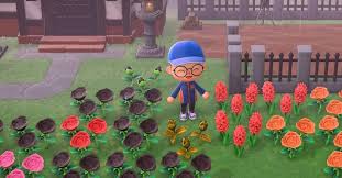 There are 54 total flowers in animal crossing: How To Get Black And Gold Roses On Acnh A Guide To The Rarest Roses