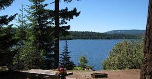 Gone Creek Campground Timothy Lake Oregon Mt Hood National Forest Beautiful Places On Earth Enjoy Nature Beautiful Places