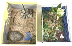Reach out on twitter or facebook @habitatuk for customer service. Make A Miniature Habitat Lesson Plan