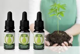 How to use cbd oil for sleep. Holland And Barrett Jacob Hooy Cbd Oil Review Honest Cbdbible