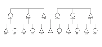 classificatory and descriptive systems of kinship the