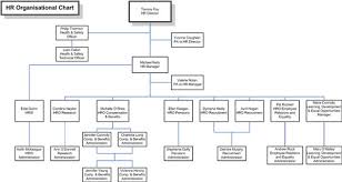 org chart