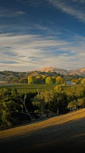 Maybe you would like to learn more about one of these? Fess Parker Winery Inn Los Olivos Wineries Official Site
