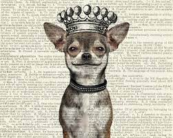 Chihuahua Smiling And Crowned Print Chihuahua Art Chihuahua Love Smiling Dog
