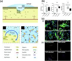 Soy director, reportero y a veces camarógrafo de la página datos futboleros. Q95 Uiaitsc5zm