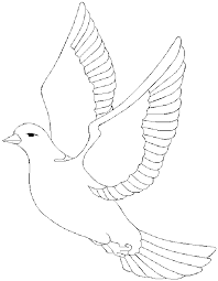 Get crafts, coloring pages, lessons, and more! Dove Coloring Page Animals Town Free Dove Color Sheet