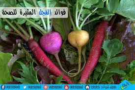 فوائد البصل 14 فائدة مدهشة للبصل وماء وعصير البصل والبصل الاخضر stuffed peppers radishes greens