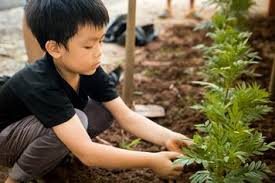 Maybe you would like to learn more about one of these? Plant Safety