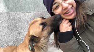 Hi everyone ☺️ I am dog sitter in London and travel up to 1 hour outside of  London. I'm not working at the moment so i have free times always. Message  me