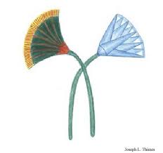 Blue Lotus And Papyrus Lotus Art Ancient Egypt Art Egyptian Tattoo