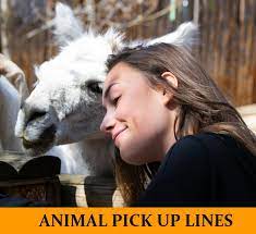 80 Animal Pick Up Lines Funny Dirty Cheesy