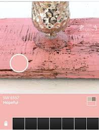 Sherwin Williams Hopeful Pink Coral Matte Paint Matched With Colorsnap For My Craft Computer Room Small Craft Rooms Paint Matching Wall Paint Colors