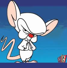 We're ranking every single one of brain's schemes—both from the pinky and the brain series and their shorts on animaniacs—and thereby take over the internet! Pinky And The Brain Wallpapers Cartoon Hq Pinky And The Brain Pictures 4k Wallpapers 2019