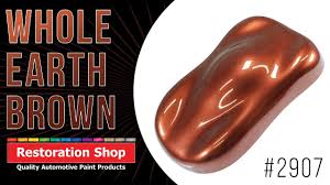 Image result for Earth Brown 2018 Fleet