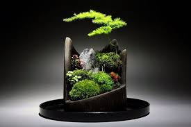 Bonsai Garden An Incredible Charm In Miniature Scale Bonsai Garden Bonsai Mini Garden