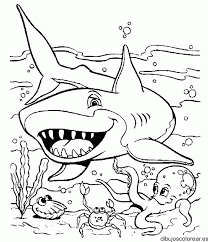 Tiburones Para Colorear Az Dibujos Para Colorear