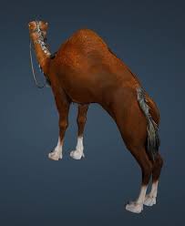 Camel courting donkey meeting murrah december 14, 2020 lioness wishing for any shade of grey. Bdo Fashion Deep Brown Camel Black Desert Online