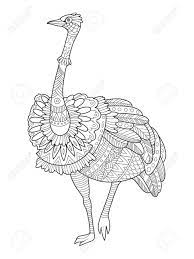 ostrich bird coloring book vector illustration black and white lines lace pattern royalty free cliparts vectors stock image 76866229 coloriages de thanksgiving pusheen