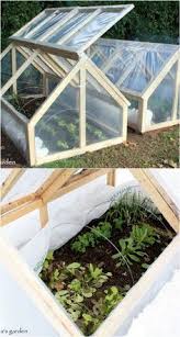 Check spelling or type a new query. 210 Georgian Garden Design Project Ideas Garden Design Garden Outdoor Gardens