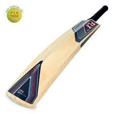 T990 Adults Kashmir Willow Advanced Cricket Bat Grey