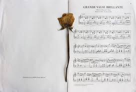 If you love to play the guitar, you need a good supply of sheet music. Academia Like The Nut Some Of My Favourite Piano Pieces Pressed