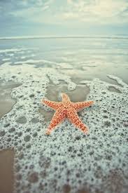 Wheretheb0atleavesfr0m Hello Summer Ocean Beach