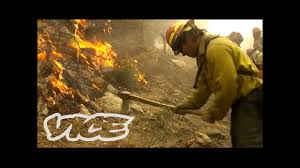 Do forest fires contribute to global warming? Pros And Cons Of Forest Fires Apecsec Org