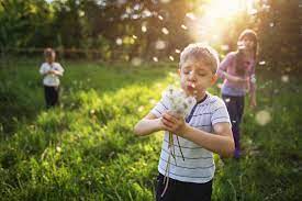 Grass Allergy Types Symptoms And Treatments