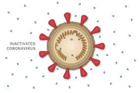 A phase 1/2 trial shows that the vaccine doesn't cause any serious side effects and enables people to make antibodies against the coronavirus. How The Sinopharm Covid 19 Vaccine Works The New York Times