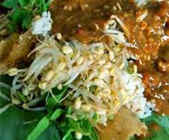 Pecel sayur sudah merambah luas di masyarakat indonesia. Hidangan Pecel Sayur Enak Dan Sehat