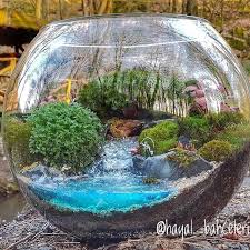 Pin Auf Terrarium Miniaturlandscfat