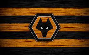 Flock definition, a number of animals of one kind, especially sheep, goats, or birds, that keep or feed together or are herded together. Wolverhampton Wanderers Wallpaper