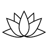 Download white lotus flower stock photos. Https Encrypted Tbn0 Gstatic Com Images Q Tbn And9gcqpewjsoy87pvfsx 8tojvczhpotekzrqi Uqgafcwchux Gbqp Usqp Cau