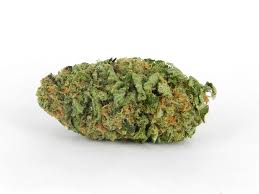 Check spelling or type a new query. Northern Lights Swami S Medical Marijuana Dispensary