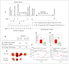 Cancers Free Full Text Oleocanthal Prevents Breast Cancer Locoregional Recurrence After Primary Tumor Surgical Excision And Neoadjuvant Targeted Therapy In Orthotopic Nude Mouse Models Html