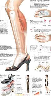 Effects Of High Heels On Body High Heels Body Health Heels