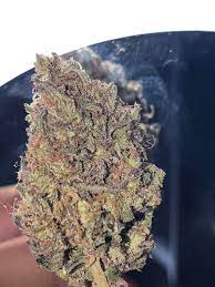 Mexican Haze Grow Journal Harvest15 By Growdiaries