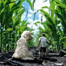 Fairy Tail In The Making Christopher Cline And His Dog Juji Mrs Sizzle Cute Dogs Relaxed Dog Dog Day Afternoon