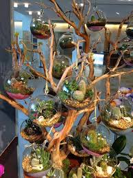 Piante Grasse In Vetro Cerca Con Google Plant Decor Plants Hanging Terrarium