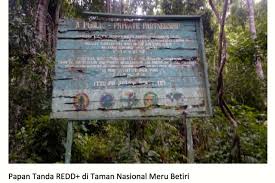 Penggunaan sumber semula jadi yang berleluasa tanpa memikirkan akibatnya akan memberikan kesan yang mendalam dan. Opini Belajar Dari Pelaksanaan Proyek Redd Di Meru Betiri Mongabay Co Id Mongabay Co Id